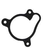 TRS Water Pump Gasket 2016-2018 (+19 One)
