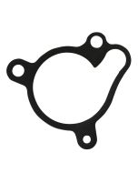 TRS Water Pump Gasket - 2019 RR onwards