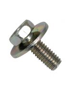 Montesa Clutch Spring Securing Bolt with Washer