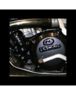Trick Bits - Carbon Effect - Beta Evo 2T / Rev 3 Clutch Protector