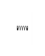 Dellorto VHST Needle Retainer Spring