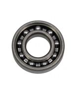 Beta Water Pump Bearing 61900