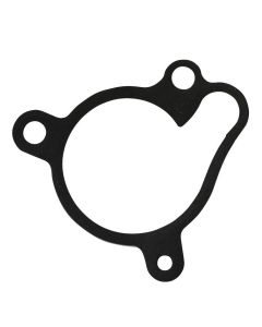 TRS Water Pump Gasket - 2019 RR onwards